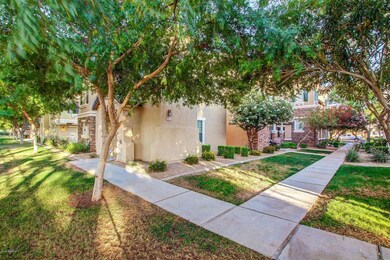 Side Yard