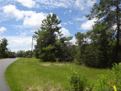 0 SW 175th Loop unit 775011, Ocala, FL 34473 - photo 2