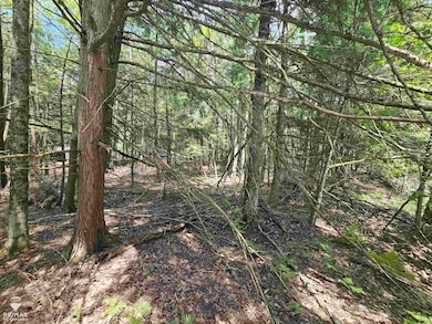 0 Spile Dam Rd unit 50182643, Millersburg, MI 49759 - photo 4