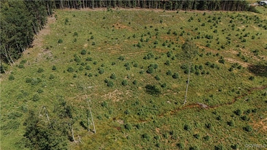 00 Holly Tree Dr, Pamplin, VA 23958 - photo 3