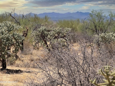 14943 W Parkin Ln, Three Points, AZ 85736 - photo 2