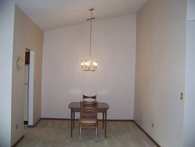 1467 Fairlane Dr unit 2A, Schaumburg, IL 60193 - photo 6