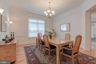 3406 N Dickerson St, Arlington, VA 22207 - photo 5