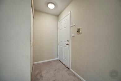 50 Plymouth Ct unit 5102B, Naperville, IL 60565 - photo 4
