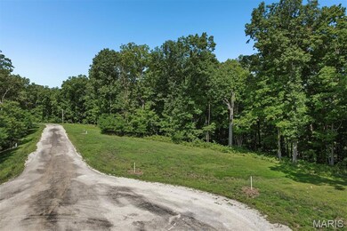 30 Timber Ridge Dr, Litchfield, IL 62056 - photo 4