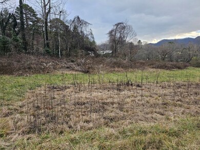 00 Belleview Rd, Franklin, NC 28734 - photo 6