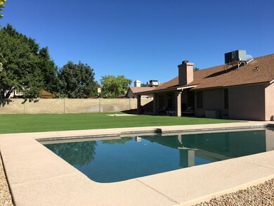 Huge Yard w/Pool