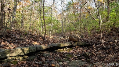 000 Mo-V, Union, MO 63084 - photo 6