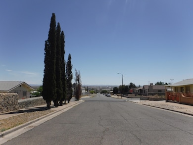 3335 Truman Ave, El Paso, TX 79930 - photo 6