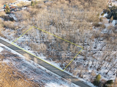 000 Roberts, Iosco Township, MI 48137 - photo 3