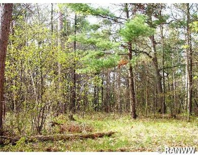 0 Hwy A unit 879438, Webster, WI 54893 - photo 3