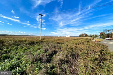 00 Route 518, Skillman, NJ 08558 - photo 5