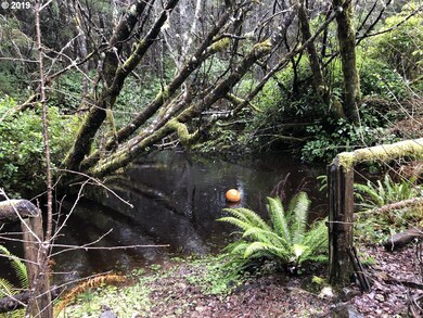 Pond