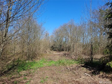 56 300th St NW, Stanwood, WA 98292 - photo 6