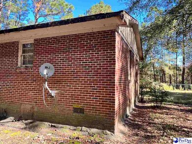 53 Drylog Ave, Kingstree, SC 29556 - photo 2