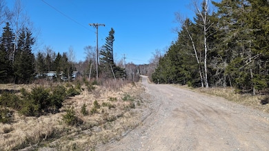 PXL_20240425_181333035