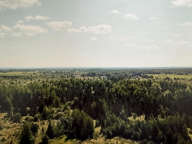Arial view of wooded area