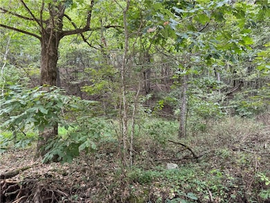 0 Lott Rd unit 1321515, Springdale, AR 72762 - photo 2