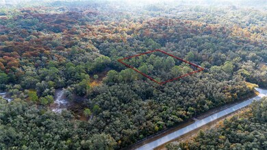 0 Rose Bloom Lot 5 Ave, Webster, FL 33597 - photo 6