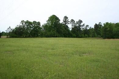 0 Augusta Highway 47, Lincolnton, GA 30817 - photo 5