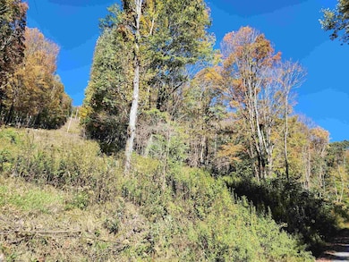 22 E Meadows Rd, Harman, WV 26270 - photo 2