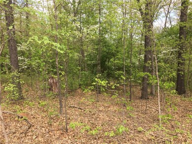 Lot 11 Ford Ln, Bella Vista, AR 72714 - photo 4