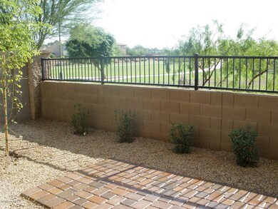 Back yard  and park