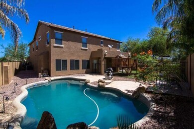 Backyard 6