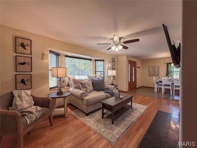 12268 State Road Tt, Festus, MO 63028 - photo 6