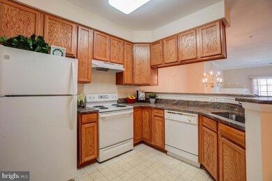 2605 Chapel Lake Dr unit 214, Gambrills, MD 21054 - photo 7