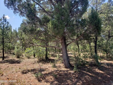 4750 W Acer Ln, Show Low, AZ 85901 - photo 5