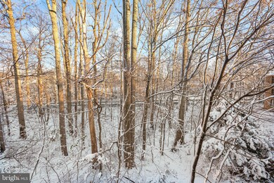 2307 Freetown Ct unit 21C, Reston, VA 20191 - photo 5