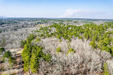 310 Tumbling Shoals Ct, Gray, GA 31032 - photo 2