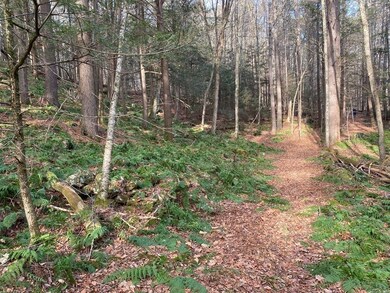 159 Mechanic St, Barre, MA 01005 - photo 3