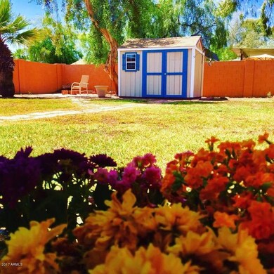 Back Yard in Bloom
