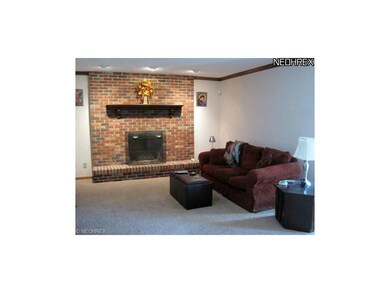 Spacious family room with wood burning fireplace.