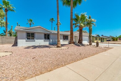 Desert Landscaping