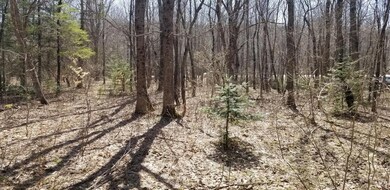 20230414_115811_resized_1