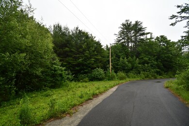 DSC_3902
