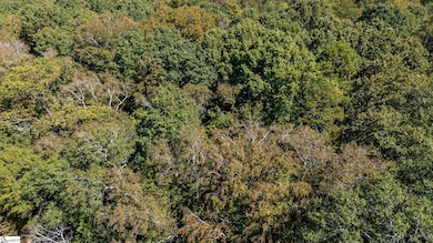 0 Old Log Shoals Rd, Greenville, SC 29607 - photo 7