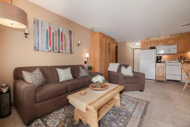 62927 US Highway 40 unit 112, Granby, CO 80446 - photo 5