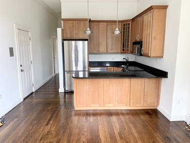 764 Tremont St unit 3, Boston, MA 02118 - photo 3