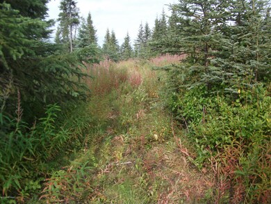 Meadow & Trees