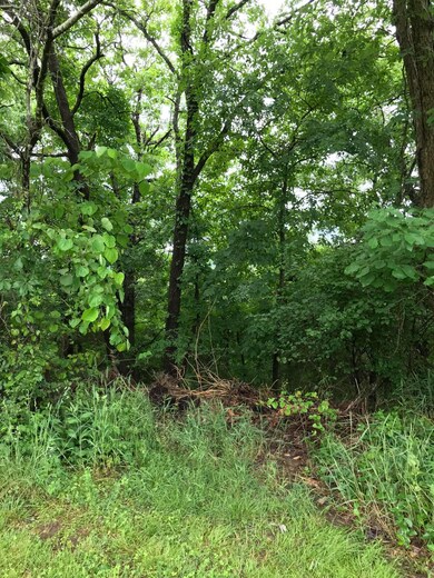 Lot 21 High, Kimberling City, MO 65686 - photo 4