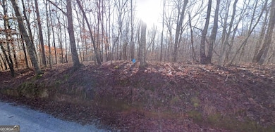 5409 Fouts Mill Rd, Douglasville, GA 30135 - photo 2