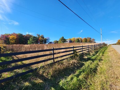 000 9 81 Acres Quinland Lake Rd N, Cookeville, TN 38506 - photo 5