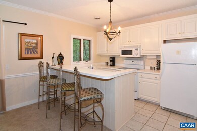 437 3 Ridges, Wintergreen Resort, VA 22967 - photo 4