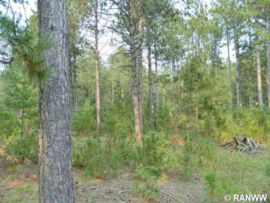 0 N Black Brook Rd unit 895453, Webster, WI 54893 - photo 4