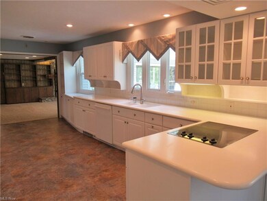 Electric Cooktop and Display Cupboards