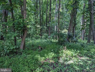 Parcel 120 Marlboro Pike, Upper Marlboro, MD 20772 - photo 2